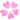 サクラ