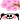サクラとパンダ