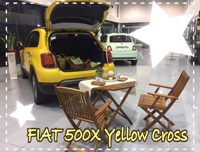  500X Yellow Cross