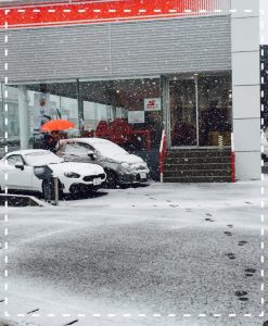 2016.11.24 雪