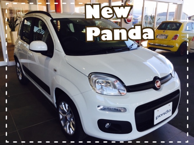 New Panda