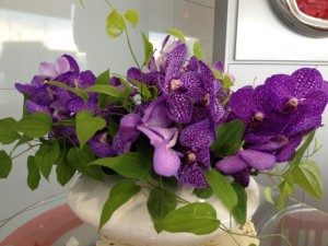 2012.9.14 今週のお花(バンダ・利休草)