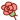 お花