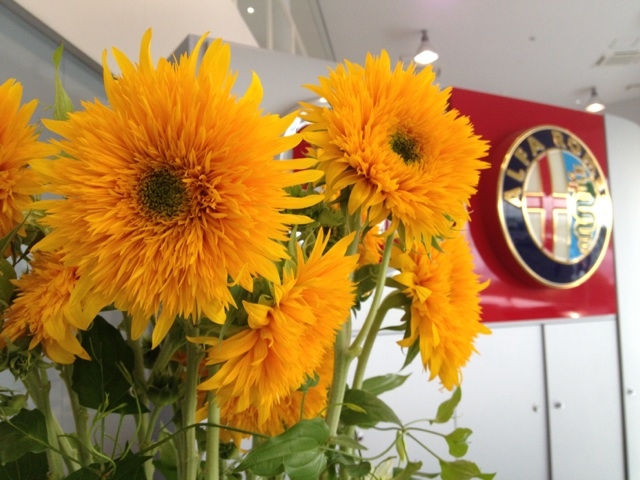 今週のお花