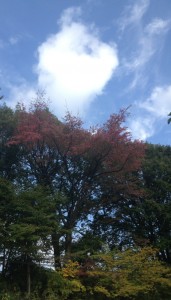 紅葉