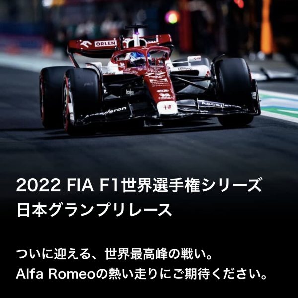 返品送料無料 2022 F1 日本GP 世界選手権シリーズ モータースポーツ