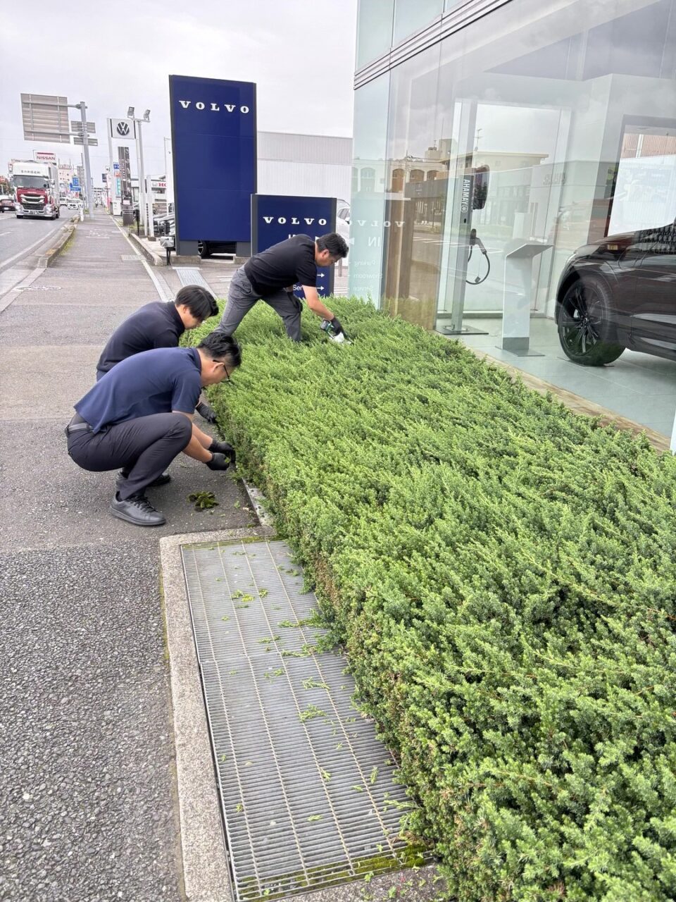 ショールーム周りの植え込みを手入れするスタッフ